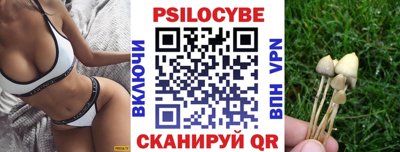 где купить наркоту Липки Галлюциногенные грибы Psilocybe